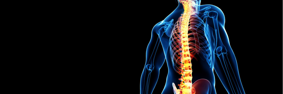 Spine Care